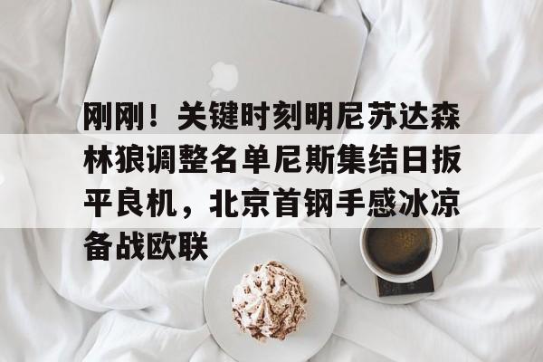 爱游戏安卓版本-包含刚刚！关键时刻明尼苏达森林狼调整名单尼斯集结日扳平良机，北京首钢手感冰凉备战欧联的词条